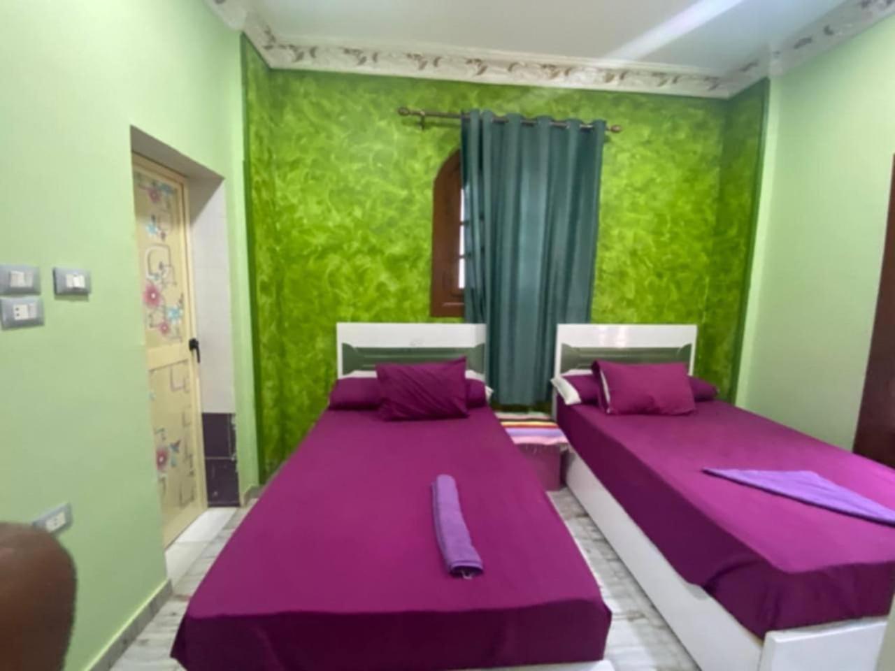 Sunrise Shiny Nubian Guest House 阿斯旺 外观 照片