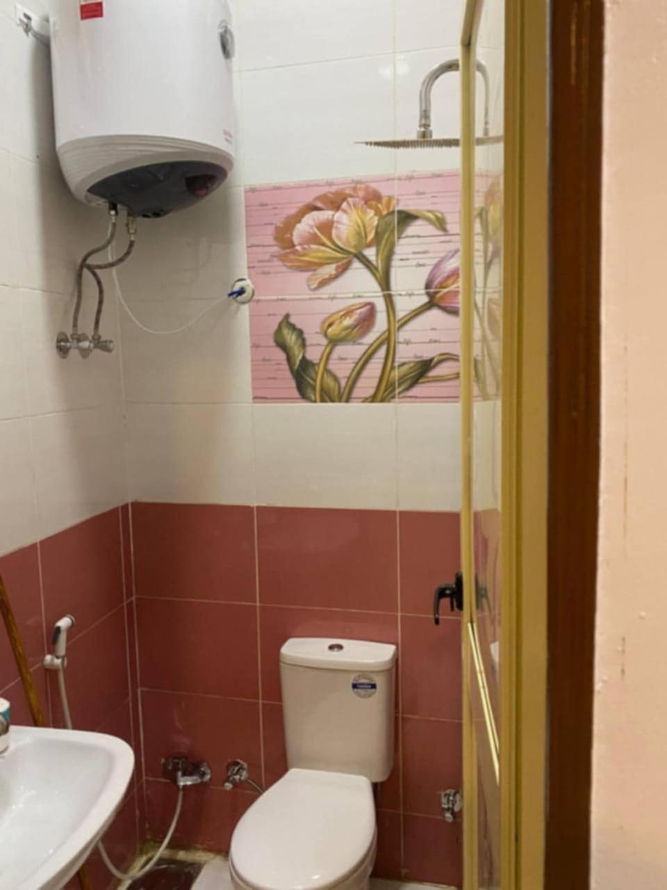 Sunrise Shiny Nubian Guest House 阿斯旺 外观 照片