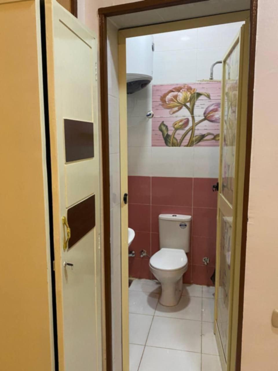 Sunrise Shiny Nubian Guest House 阿斯旺 外观 照片